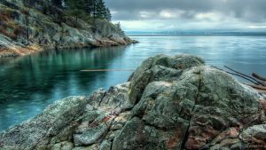 Calm Sea Beside Rock Formation With Trees
