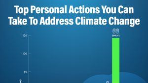 Top Personal Actions You Can Take To Address Climate Change