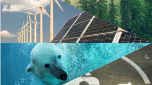 forest, windmills, polar bear, ev charging symbol