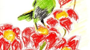 Crayon illustration of a green bird with a medium bill near red flowers