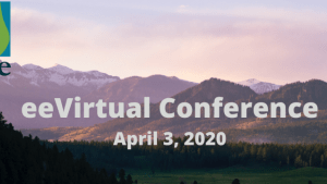 ee virtual conference