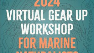 2024 virtual Gear Up Workshop for Marine Naturalists 