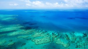 Aerial Image of Australia's Great Barrier Reef