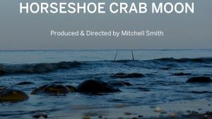 Film cover portraying a beach at dusk with a full moon overhead and the film title with text that reads, "Horseshoe Crab Moon. Produced and Directed by Mitchell Smith"