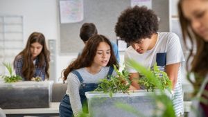 Students in a classroom lab setting, studying plants growing.