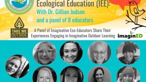 Talking Imaginative Ecological Education (IEE)