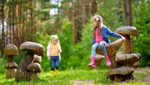Kids play on top of wood-carved mushrooms