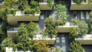 book cover shows trees growing on balconies of building