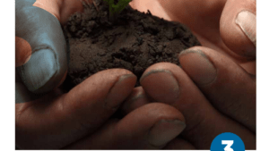 cover of professional development guidelines hands holding sprouting seed in soil
