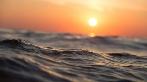 Close up of a wave at sunrise