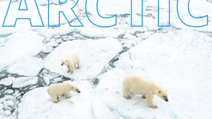 Cover of WWF Wild Classroom's 'Teaching Tools about the Arctic' resource guide