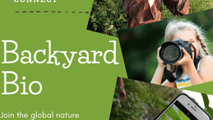 Green background with white text that says, "Explore Discover Connect." Under that, more white text that says, "Backyard Bio Join the global nature campaign and learn more at backyard bio dot net." On the right hand side are a group of three photos. The top photo shows a young girl holding binoculars. The middle photo shows a young girl holding a camera, and the bottom photo shows someone's hand holding a smartphone.