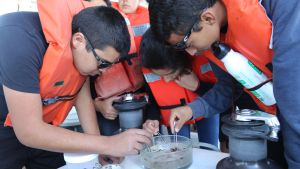 Group of students on a boat in life jackets looking over a petri dish of plankton and plastic.