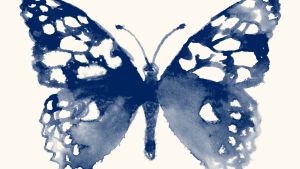 blue watercolor butterfly