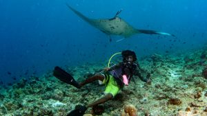  happy scuba diver and Manta in the blue background while diving maldives