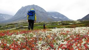 Hikers walk along the red & white tundra of Gladiator Basin with mountains ahead of them