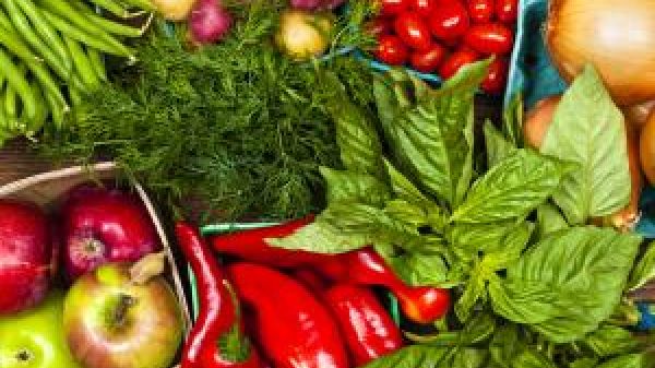 Quart farmer's market boxes with brightly colored apples, green beans, tomatoes, red peppers, basil, and onion.