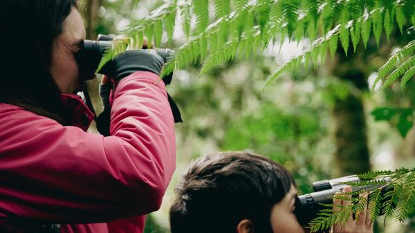 A parent and child use binoculars in a forest