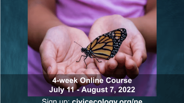 Bold lime green text at the top says, "Nature Education" and the square photo below is of a pair of open hands holding a butterfly. Under the photo is white text about the course that is included in the body of the post. At the bottom of the graphic, are the Civic Ecology Lab and Cornell University logos