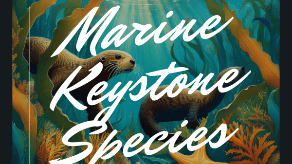 2025 Science Without Borders Challenge Theme Marine Keystone Species