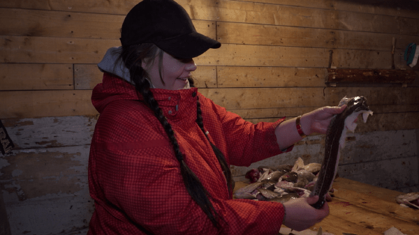 Picture of Ocean School's youth host Holly examining a cod fish