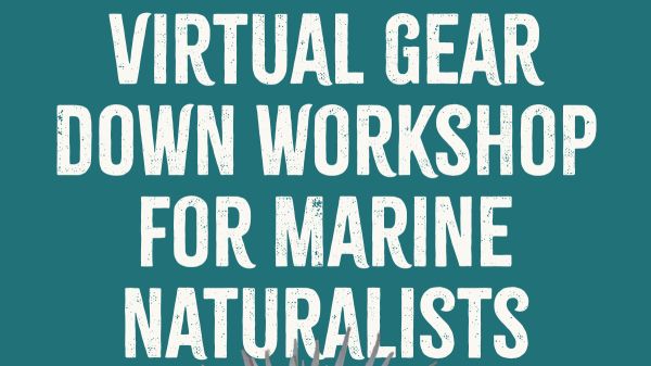 TWM's 2023 virtual Gear Down Workshop for Marine Naturalists