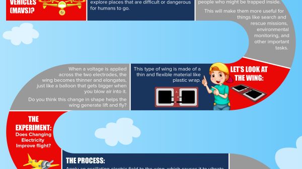 INFOGRAPHIC AERODYNAMIC CHARACTERIZATION OF A WING MEMBRANE