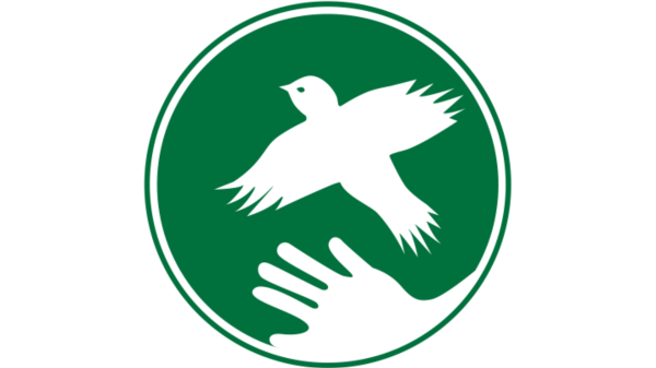 Green logo of a bird flying from a hand