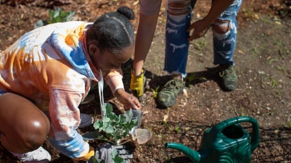 Two Black girls planting green leaf vegetables in a community garden