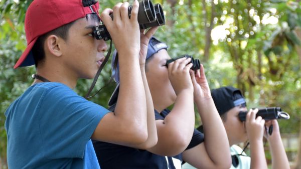 Group of teens stand in a row looking at a forest through binoculars