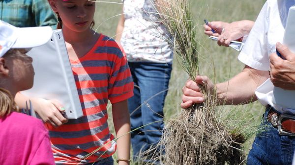 An NRCS employee explains the importantce of blue bunch wheat grass in Montana's native rangelands to future conservationists.