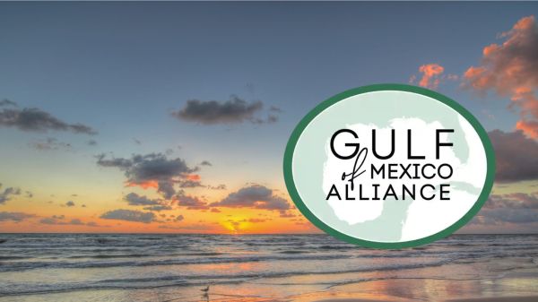 A beach at sunset with a green logo on the right with black text that reads "Gulf of Mexico Alliance"