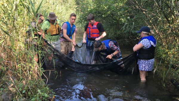 Six people wearing life jackets are standing in a creek. They are all holding onto a large black net, and looking at what’s inside. One person is bent over with their arm outstretched looking for something in the net. 