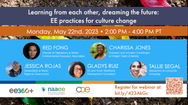 Webinar: Learning from each other, dreaming the future: EE practices for culture change