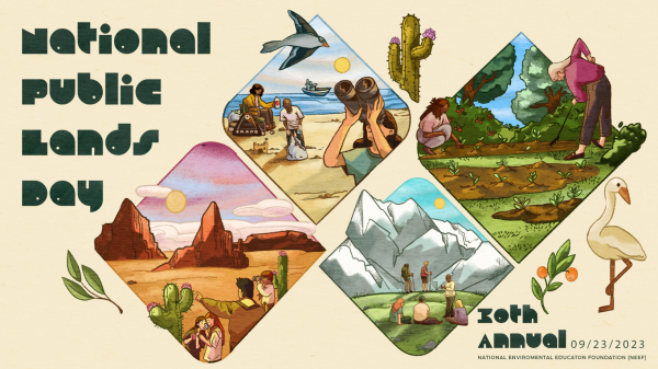 Illustration with fun lettering that reads, "National Public Lands Day." To the right are hexagonal frames containing a desert landscape, a seascape, a mountain scene, and a river in a forest.