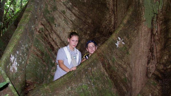 Students at the base of a Ceiba tree in Panama