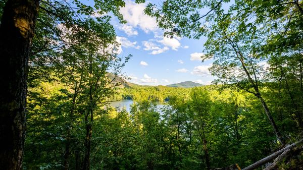 View of mountain and lake from the Adirondack forest at Pyramid Life Center.