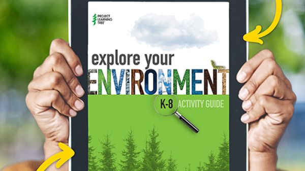 Explore Your Environment cover image