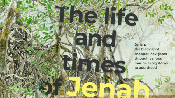 The Life and Times of Jenah Poster