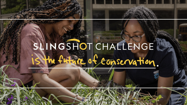 Photograph of two dark skinned young people with braids weeding in a garden, surrounded by green plants and purple flowers. 