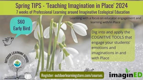 Photo of a flower blooming from snow, with text at the top that says "Spring TIPS - Teaching Imagination in Place"
