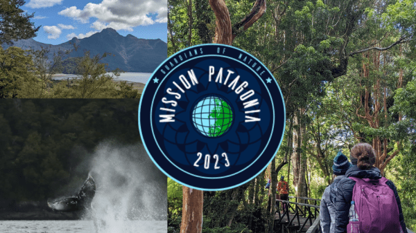 A flyer with three pictures, one of moutains and sky framed by trees, one of a humbpack whale tale emerging from the water, and one of people exploring through a rainforest. The bottom includes logos for AUI, Mission Patagonia 2023, and Fundacion MERI
