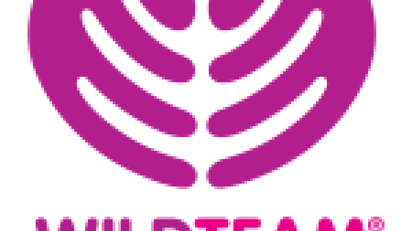 WildTeam UK Logo