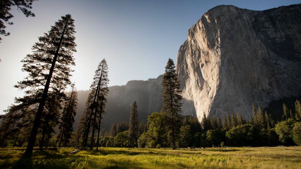 Landscape photo of a forest-ringed meadow with a granite mountain in the background set against a sunny, blue sky