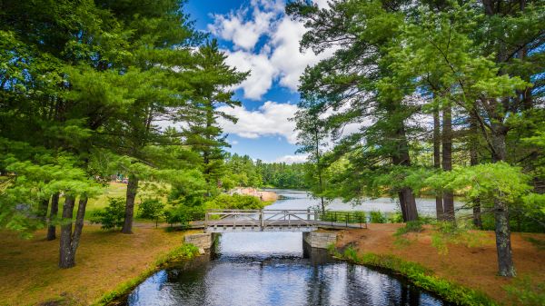 Bear Brook State Park wooden bridge overlooking river within forest