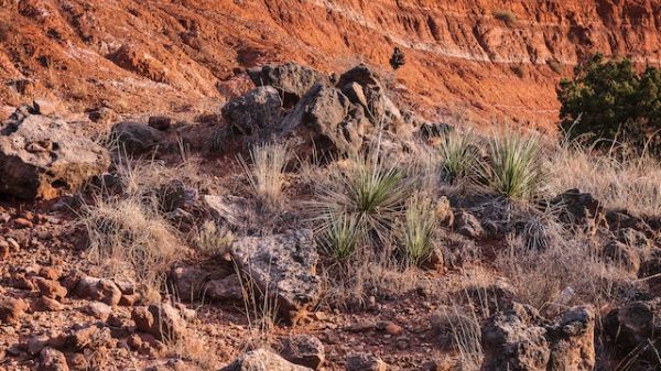 Red canyon on a rocky desert