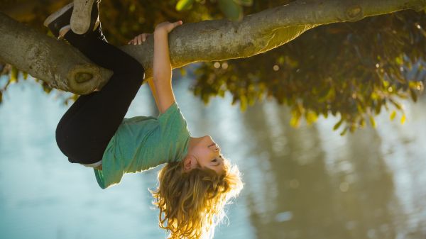 Young boy playing and climbing a tree and hanging upside down