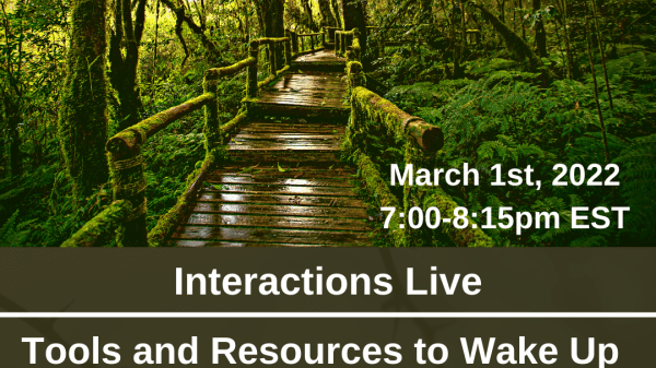 Wooded bridge in this forest. Tools and Resources to Wake Up & Wild Your Walk. March 1st, 2022. 7-8:15pm EST.