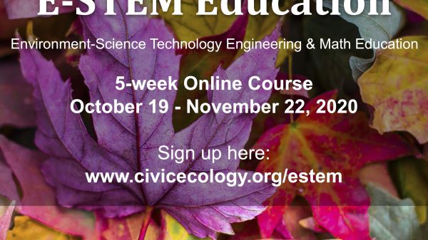 colorful leaves on E-STEM Education poster