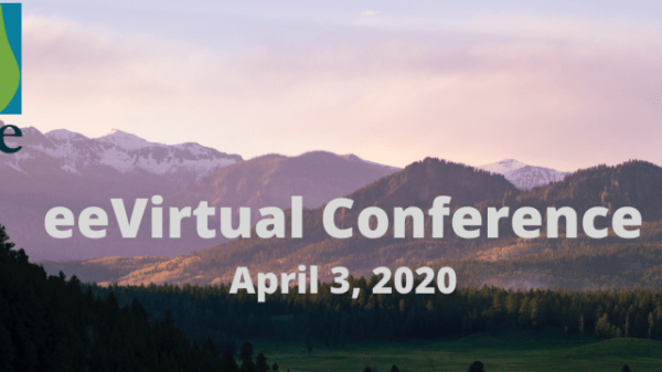 ee virtual conference